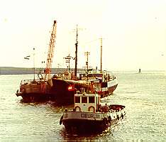 Jeanine & her tender En Rust