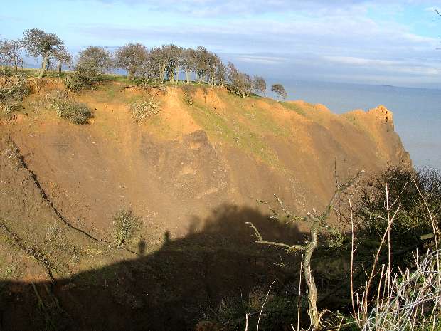 Barren cliff top