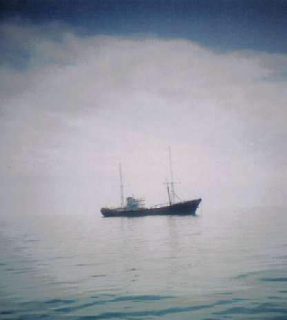 Ross revenge in haze Ross revenge in haze