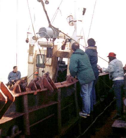 Lister Petter alternator come over the side Lister Petter alternator come over the side