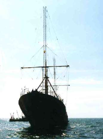 Ross revenge bow profile