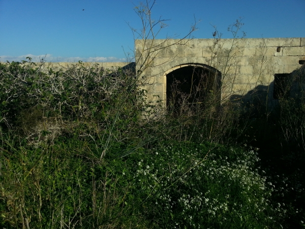 Nature reclaims ground