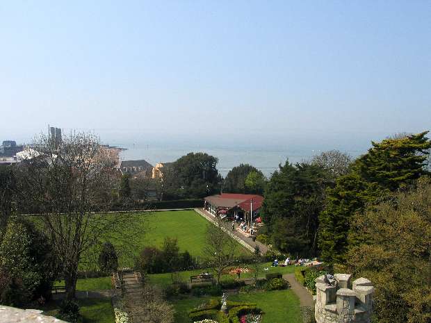 View from Top of Tower