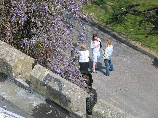 Whitstable castle tower 4