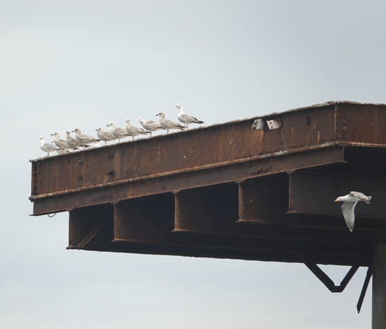 Knock John Naval Fort