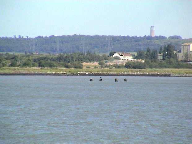 Nore fort bases at Cliffe 1