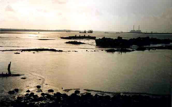 Nore fort bases at Cliffe 2