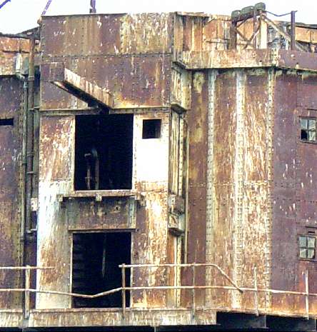 Peregrine Falcoln makes home in G4 Tower