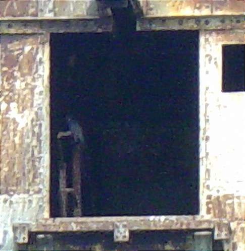 CU of Periguine Falcoln in G4 Tower