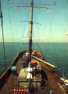 MV Communicator view of deck from bridge