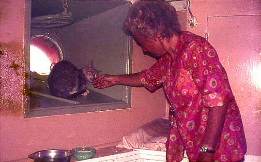 Ships cat with Piet Ships cat with Piet