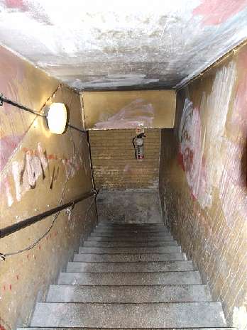 Cellar steps 12/7/10