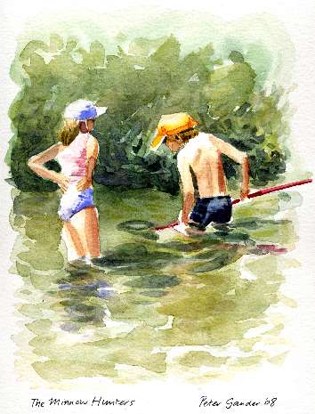 Minnow Hunters Minnow Hunters