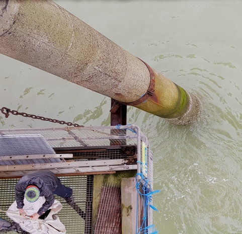 Joe James loads the bag Joe Jmaes load the bag