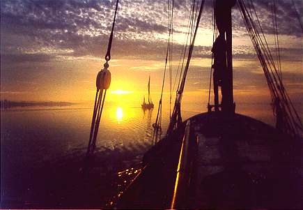 Greta sailing at sunset Greta sailing at sunset