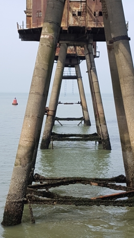 G1 between the legs G1 between the legs