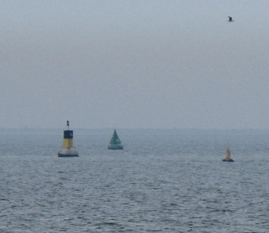Cluster of buoys