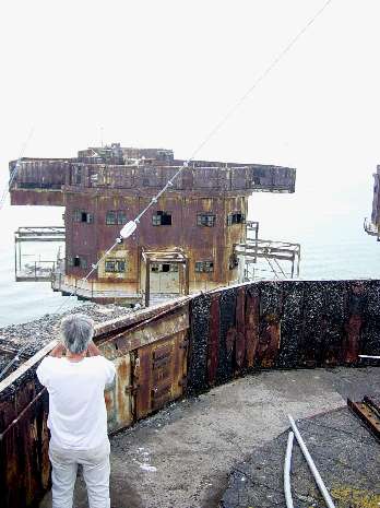 Birdwatching with Chicago Birdwatching with Chicago