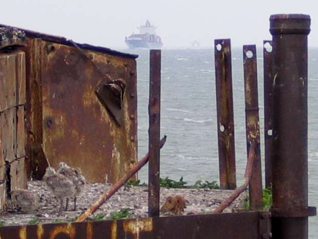 Gun Tower 3 roof perspective Gun Tower 3 roof perspective