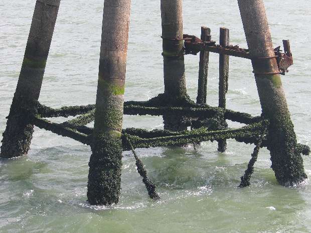 Gun Tower 4 (2) Gun Tower 4 (2)