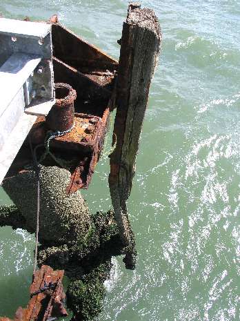 Eastern fender Eastern fender