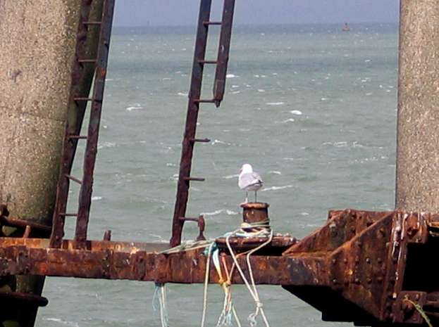 Bofors Gun Tower landing stage Bofors Gun Tower landing stage