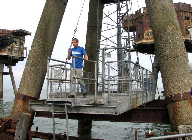 Robin comes down to say hello