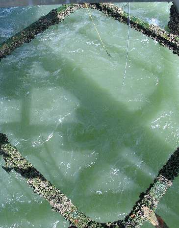 Base frame leg braces below G1