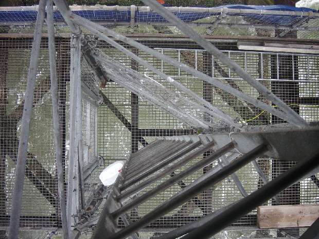 Ladder Cage Ladder Cage