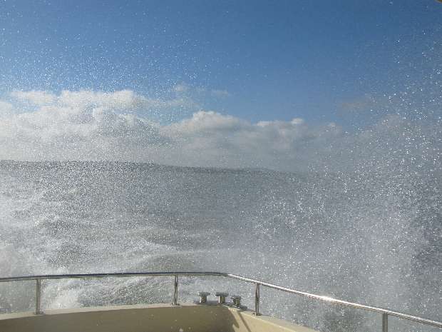 Spray galore Spray galore