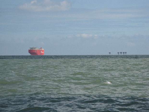 STX Car Transporter & Shivering Sands