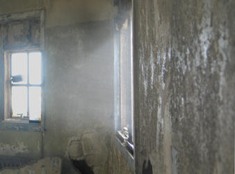 Morning Mist Morning Mist