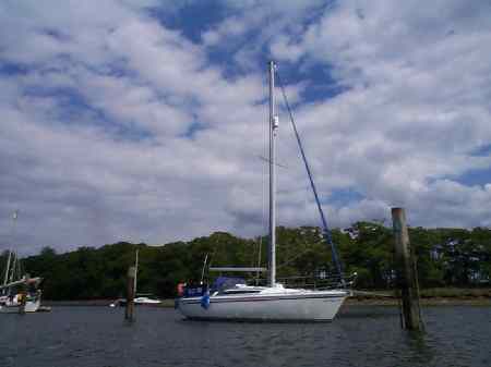 Dizzy on pile mooring