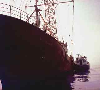 Ross Revenge with tender