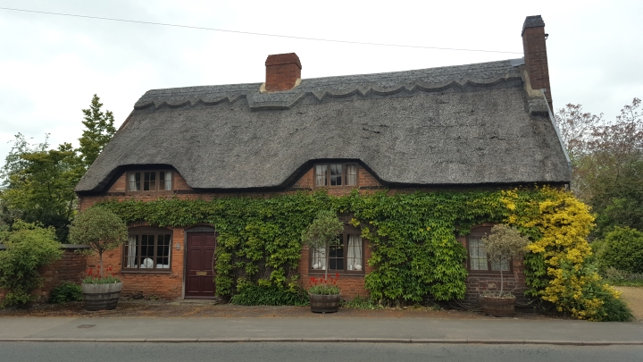 Thatched Cottage across from Allans Lane Thatched Cottage across from Allans Lane