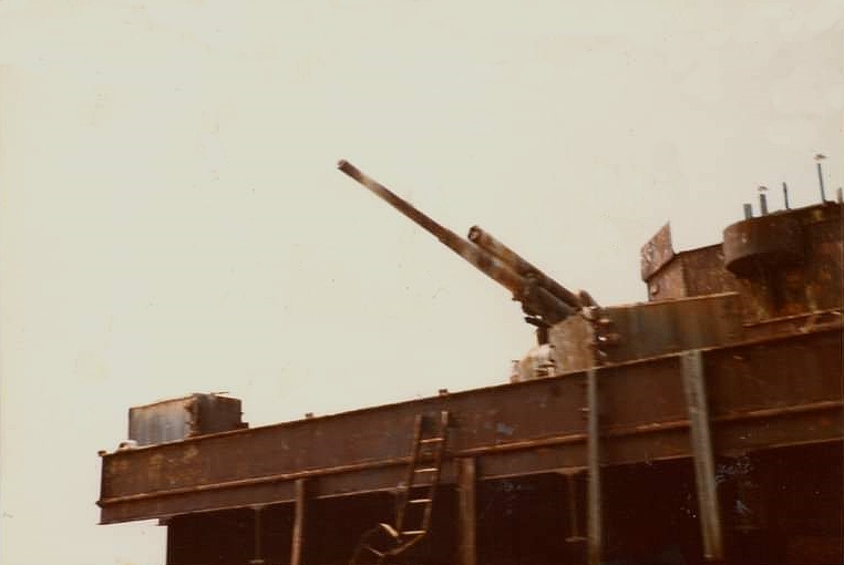 Tongue Tower 1991 Tongue Tower 1991