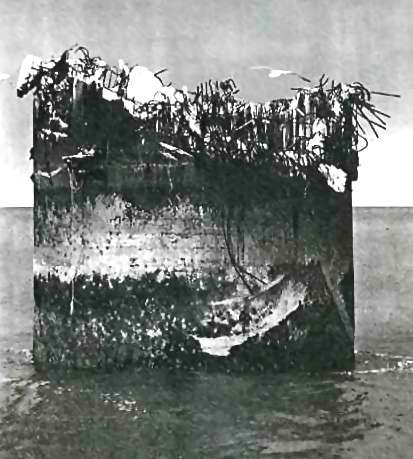 U3 HMS Tongue Fort Leg Stump 1996 U3 HMS Tongue Fort Leg Stump 1996