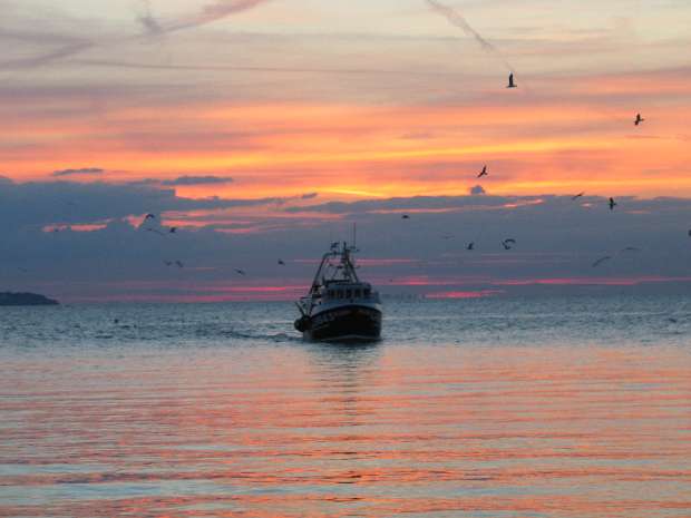Last catch Whitstable Harbour Last catch Whitstable Harbour